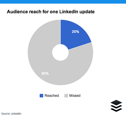 Maintain a Steady Posting Cadence